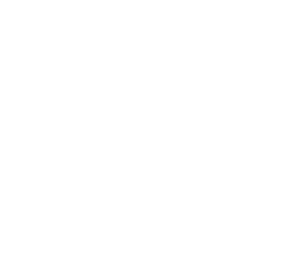 Company logo inverted.
